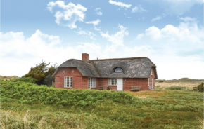 Amazing Home In Ulfborg With House A Panoramic View